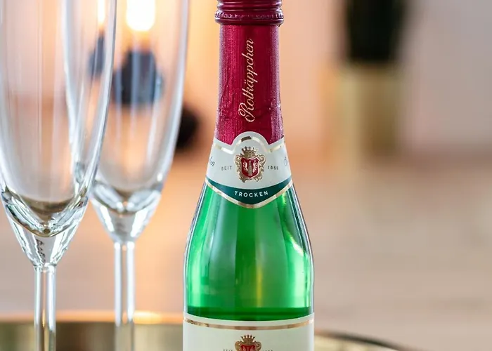 Neu! Pineapple - Zwinger Xii - 96qm - 1x Free Parking *